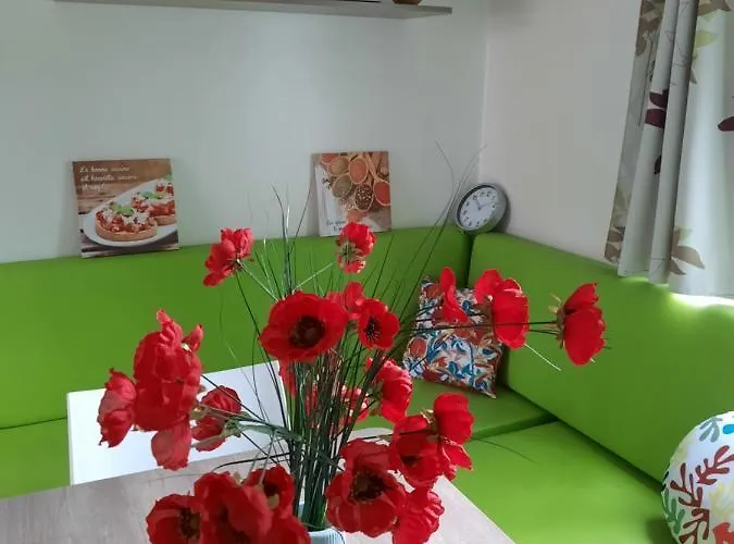 Serenite Kamp alanı *