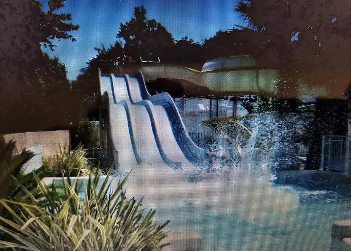 Serenite Kamp alanı